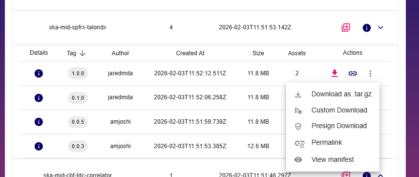 BAR artefact versions dropdown
